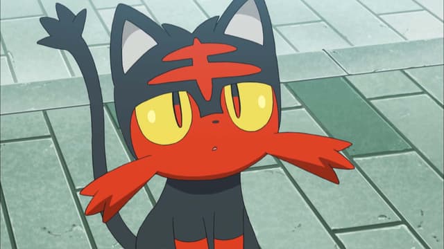 S20:E04 - First Catch in Alola, Ketchum-Style!