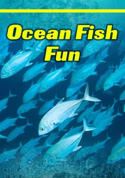 Ocean Fish Fun