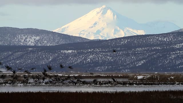 S05:E09 - Head to Head