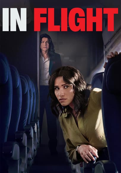In Flight