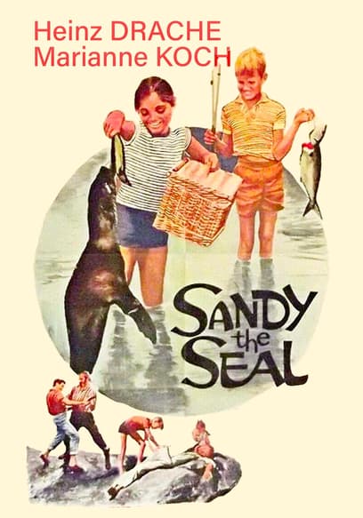 Sandy the Seal