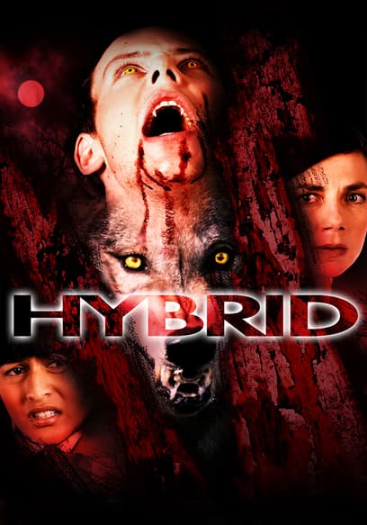 Hybrid