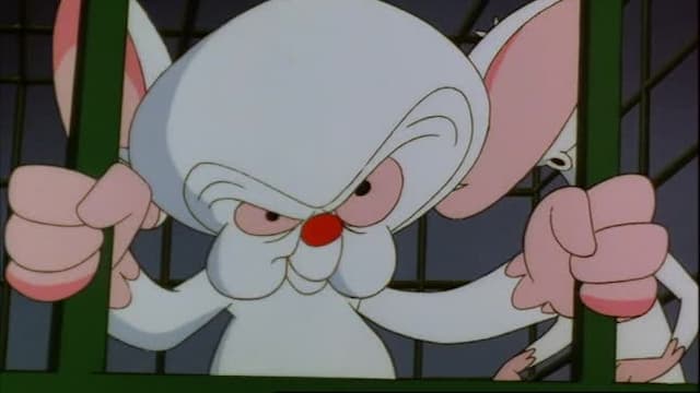 S01:E54 - Brain Meets Brawn/Meet Minerva