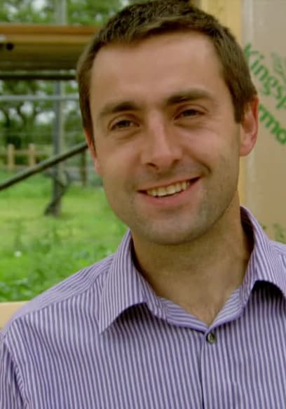 Watch Building the Dream S01:E31 - Gloucestershire: Karen and Colin ...