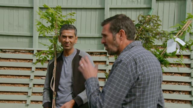 S08:E19 - Episode 19