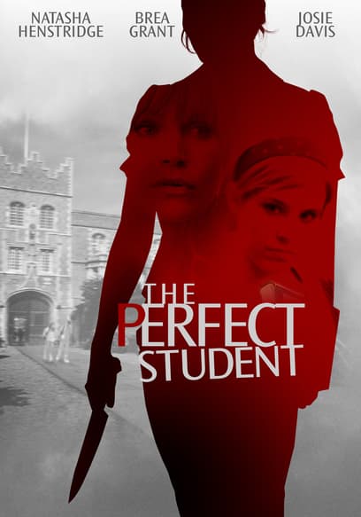 The Perfect Student