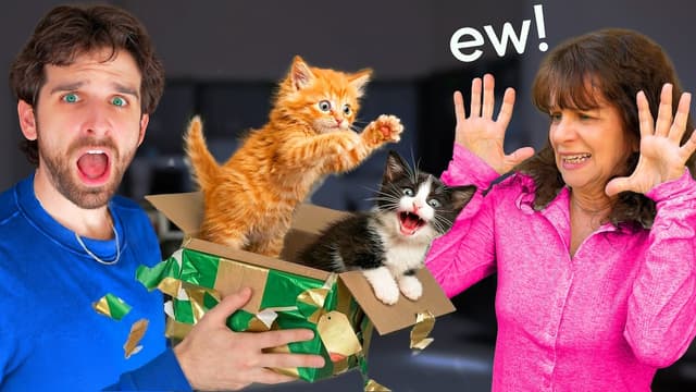 S01:E18 - Surprising Mom With Stray Kittens