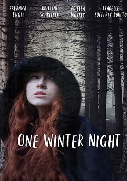 One Winter Night