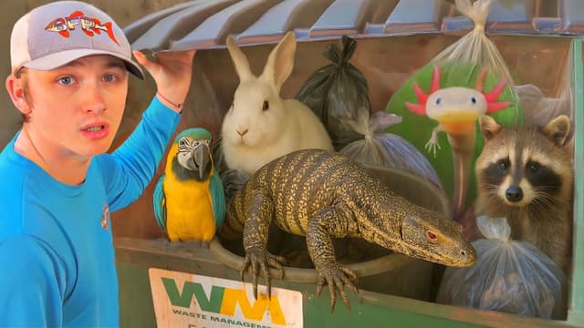 Bass Fishing Productions