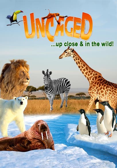 S02:E07 - Amazon Rainforest