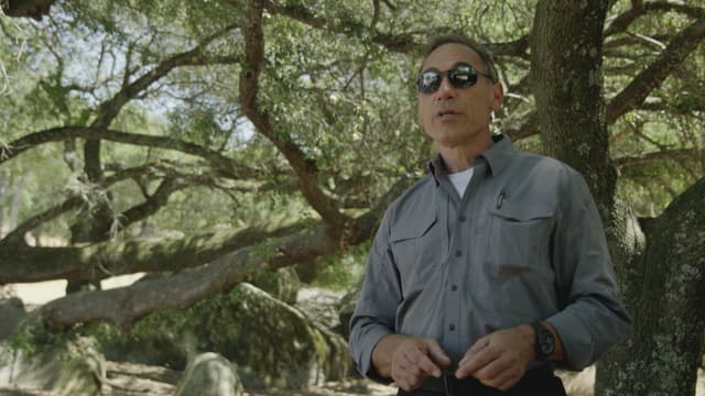 S01:E03 - A New Code Uncovered