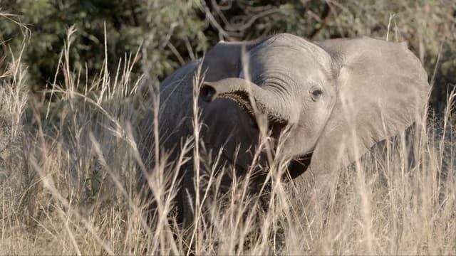 S01:E01 - The Land Giants