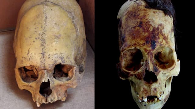 S10:E05 - The Alien Evolution