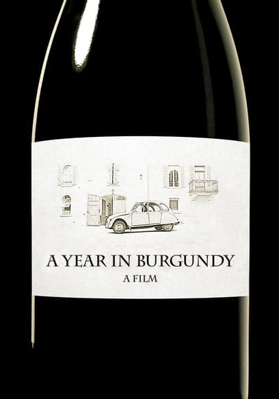 A Year in Burgundy