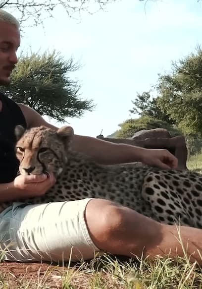 S03:E02 - Feeding the Cheetahs Up Close + Emergency!! poster