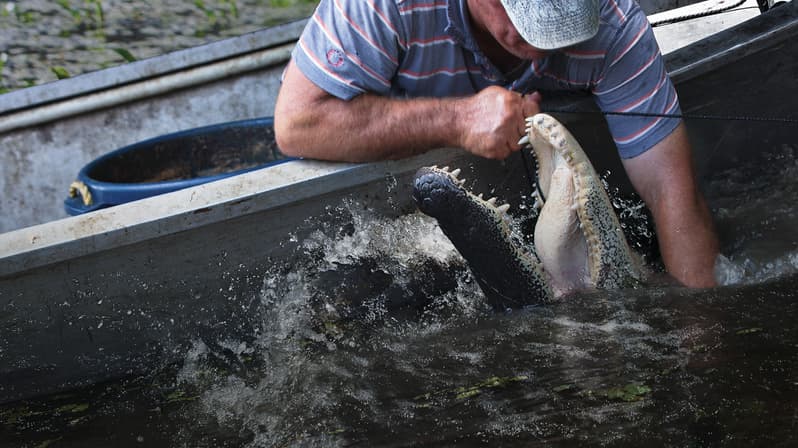 Watch Swamp People Season 2 Streaming Online | Tubi Free TV
