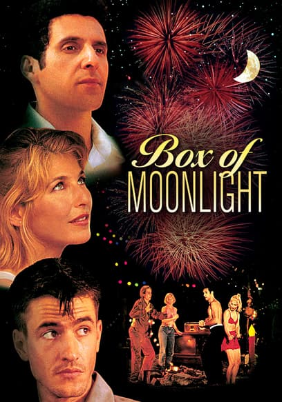 Box of Moonlight poster