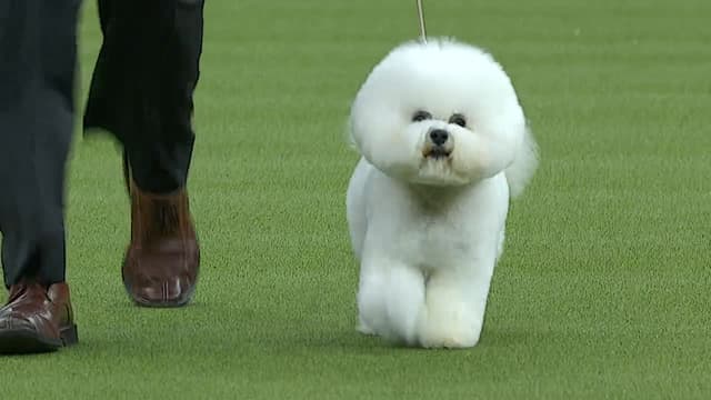 S2018:E02 - 2018: Day 2