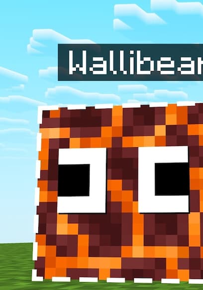 S01:E01 - Block Hunt With Random Disguise Changes poster