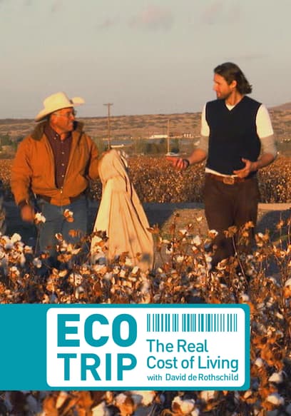 Eco-Trip: The Real Cost of Living