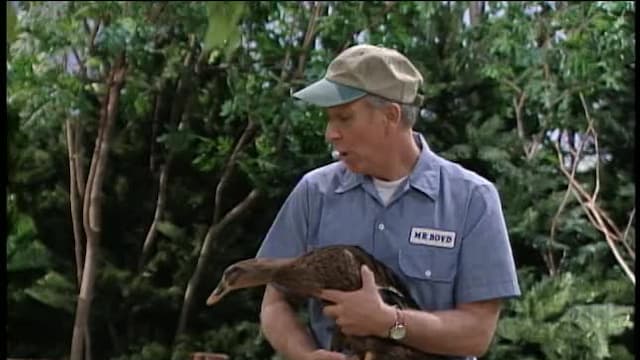 S08:E20 - Como en casa, en el parque