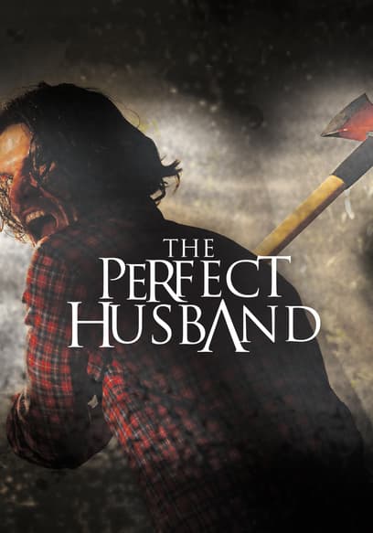 The Perfect Husband