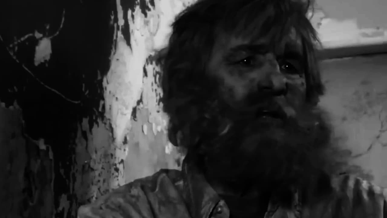 Watch Operation Overreach Universe Part Four: Survive