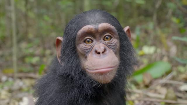 S01:E03 - Haciendo Amigos