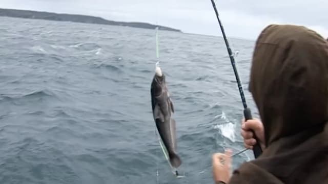 S01:É18 - S01:E18 - Stewart Island