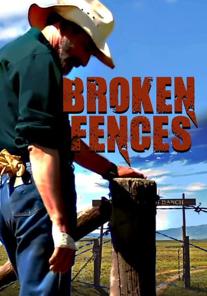 Broken Fences