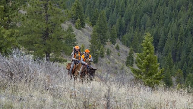 S01:E01 - Montana Black Bear Hunting With Clay Newcomb