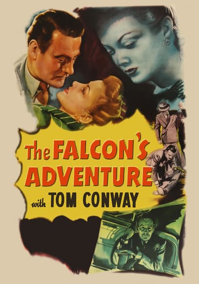 The Falcon's Adventure