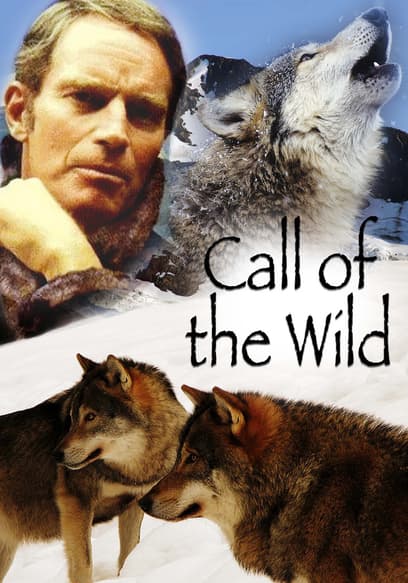 Call of the Wild