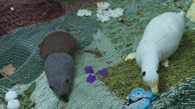 S01:E02 - Lympstone Llwyngwril, Colwinston and Porlock