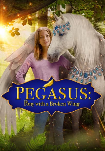 Pegasus: Pony with a Broken Wing