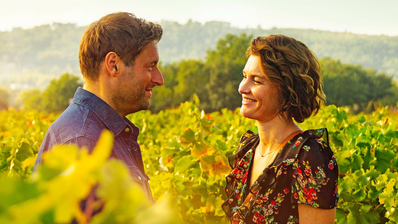 Watch A French Summer