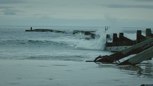 S01:E03 - Fraser