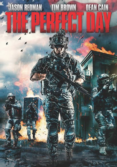 The Perfect Day