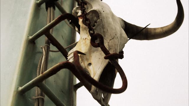 S01:E06 - Shark Alley