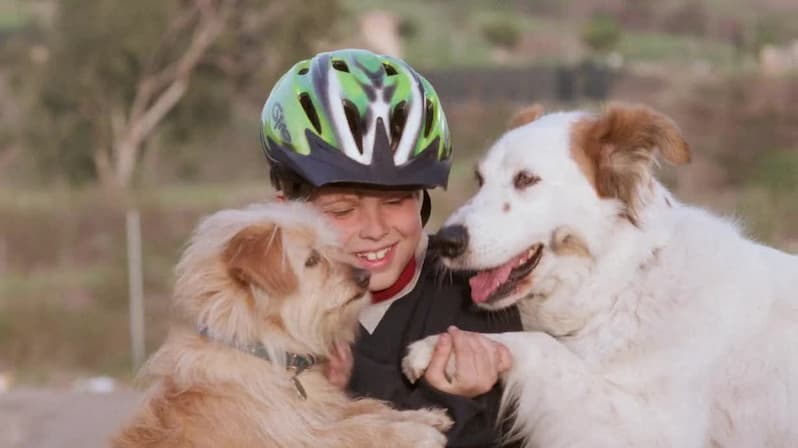 Watch Paws to the Rescue (1999) Free Movies Tubi