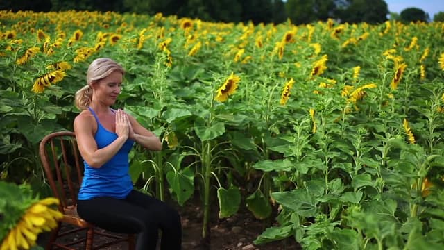 S06:E05 - Spectacular Sunflower