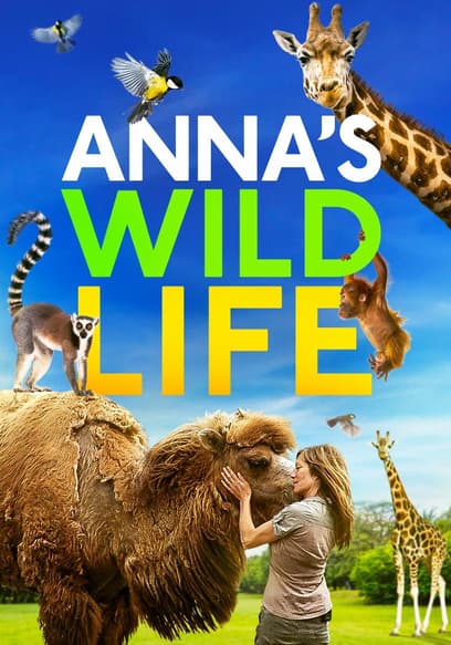 S01:E04 - The Cycle of Life