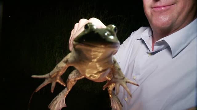 S01:E02 - New Orleans