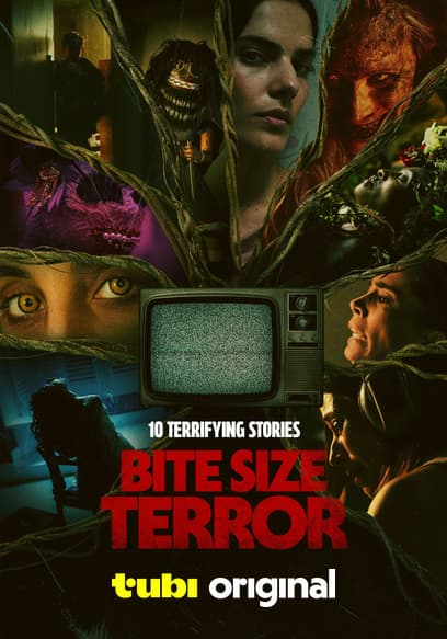 Bite Size Terror poster