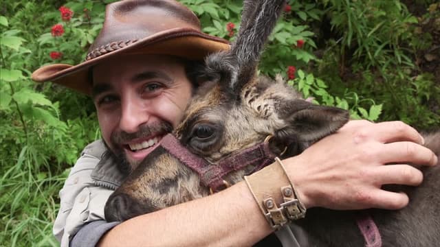 S02:E12 - Cute Mammals