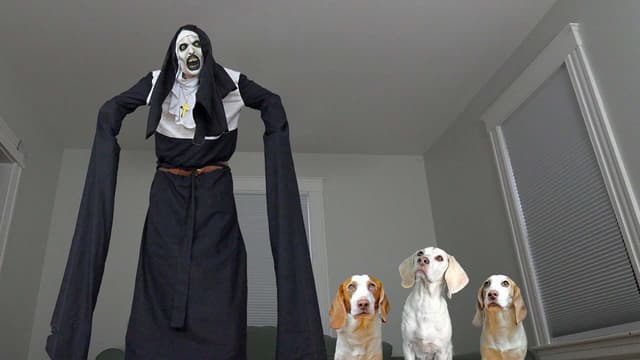 S01:E06 - Dogs, Costumes, and Big Surprises