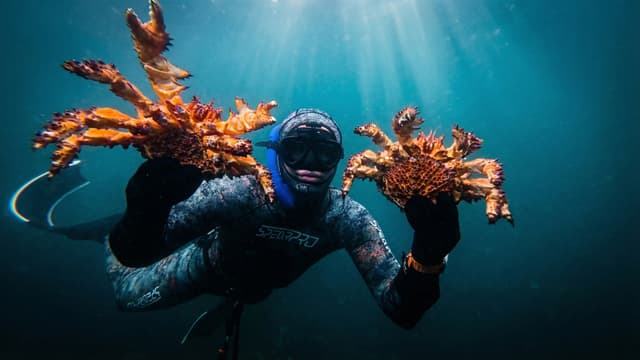 S01:E05 - We Finally Found Puget Sound King Crab