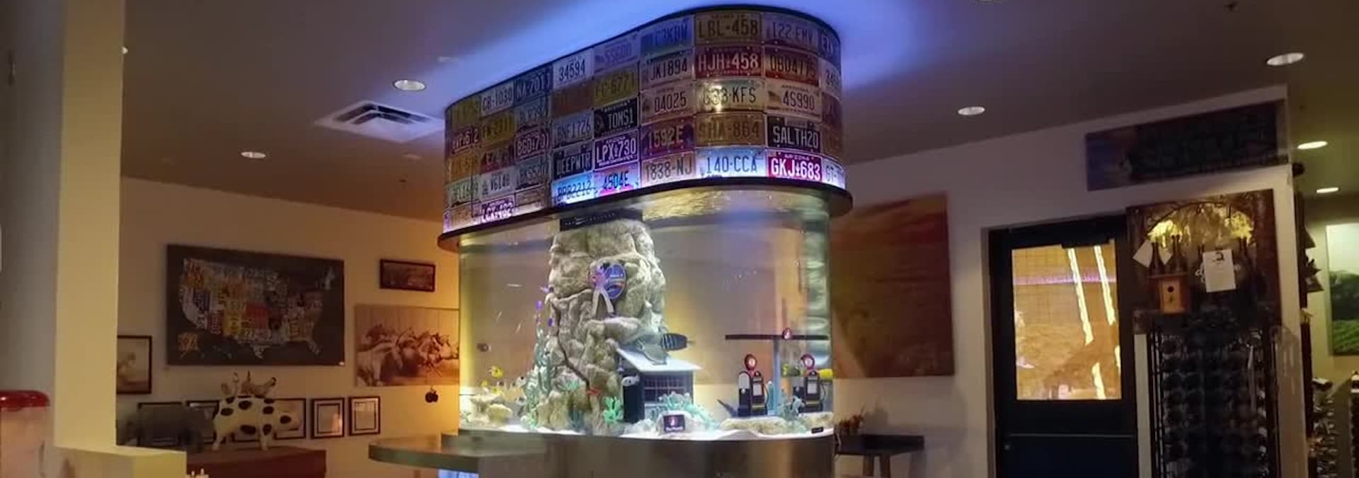 Watch Tanked S11:E09 - Thumbs Up! - Free TV Shows | Tubi