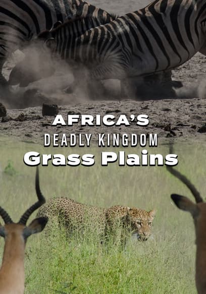 Africa’s Deadly Kingdom: Grass Plains