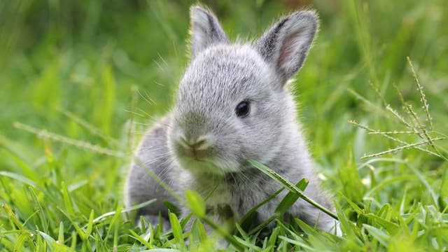 S04:E01 - Summer Babies